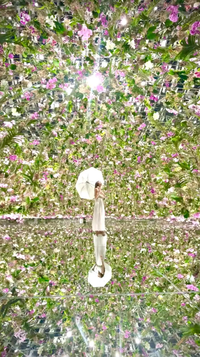 チームラボのSNSプロモーションプロジェクト