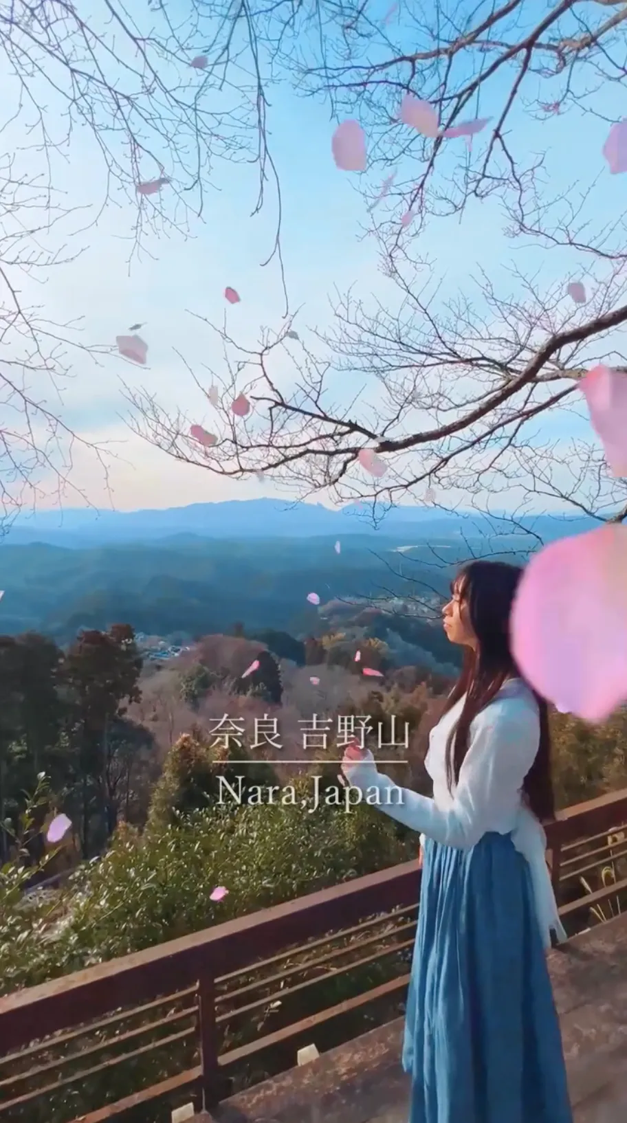 奈良県に「行ってみたい」と視聴者に思ってもらうショート動画